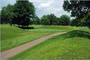 View of octagon and circle configuration at Newark Mound builders Golf and Country Club (J. Markham)